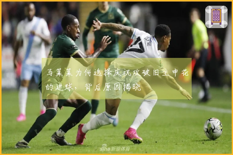 马莱莱为何选择庆祝攻破旧主申花的进球，背后原因揭晓
